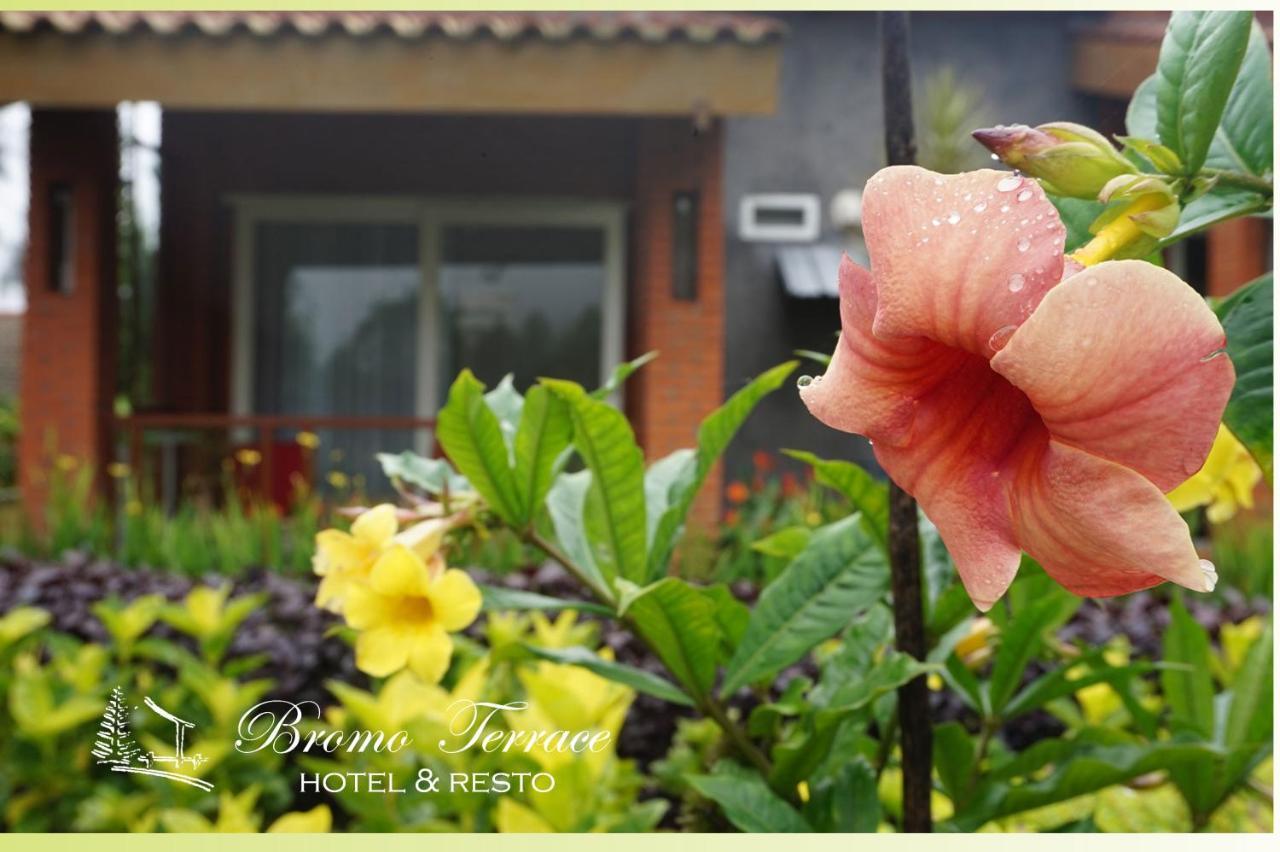 Bromo Terrace Hotel Esterno foto